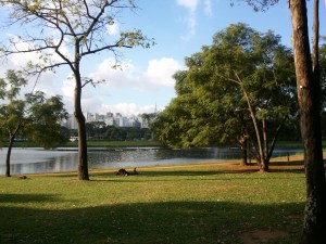 Ibirapuera Park